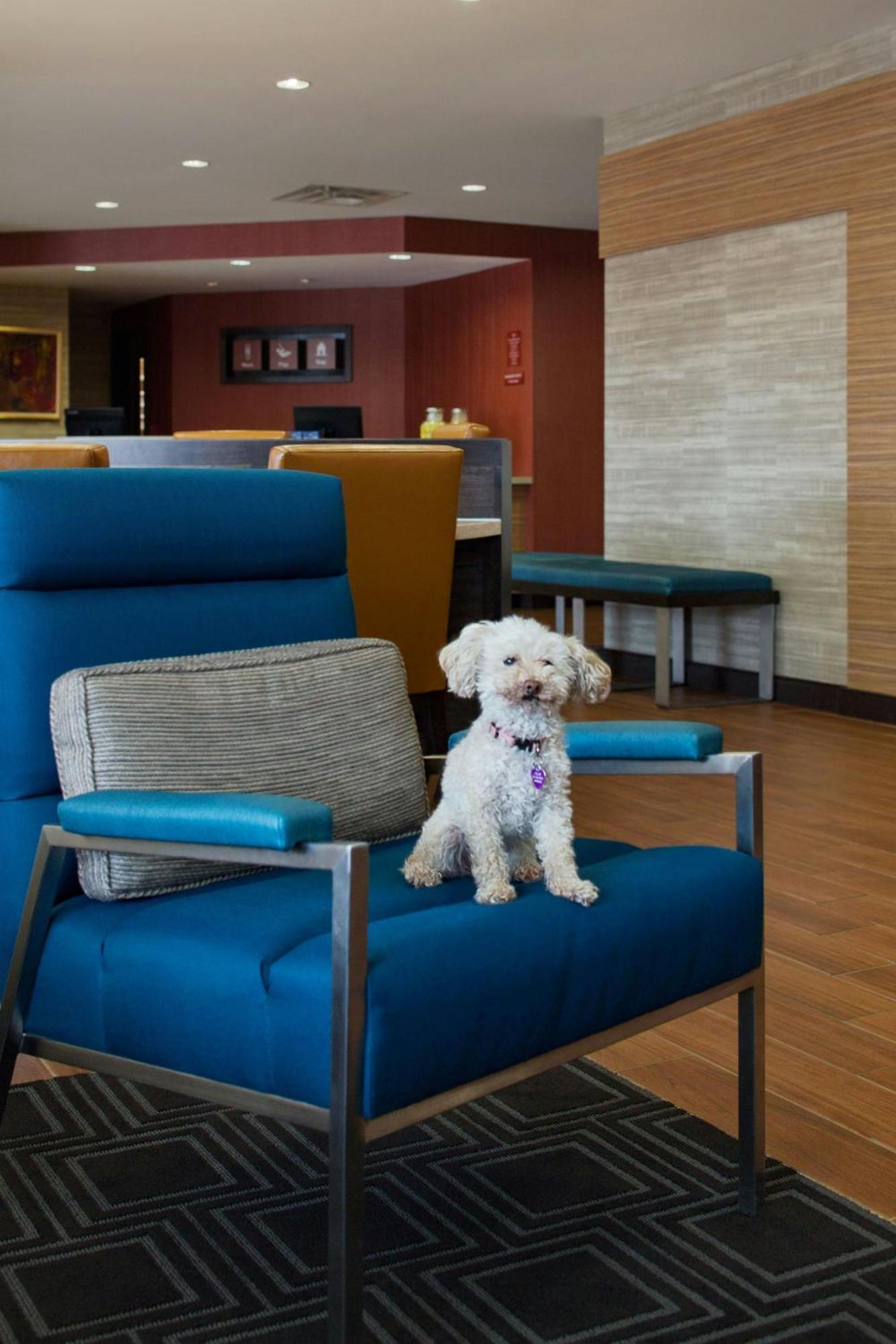 Towneplace Suites By Marriott Austin Round Rock Dış mekan fotoğraf